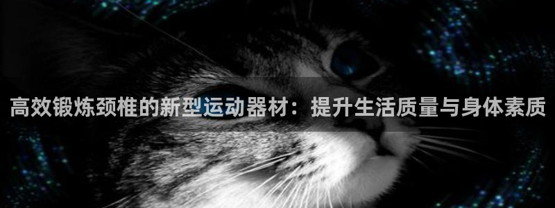 征途国际五金厂:高效锻炼颈椎的新型运动器材:提升生活质量与身