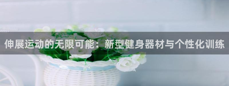 征途国际开户:伸展运动的无限可能:新型健身器材与个性化训练